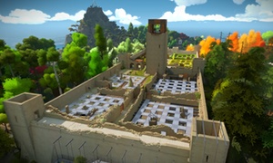 Jonathan Blow’s acclaimed puzzle game The Witness: pricier than most titles. 