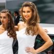 image Skoda-babes-0066.jpg