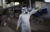 Verdens helseorganisasjon (who Erklærer Zika en Global Krise