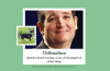 Microsoft’s New What-Dog-Is-Your-Face Tool Is Good, Dumb Fun