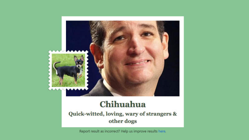 Microsoft's New What-Dog-Is-Your-Face Tool Is Good, Dumb Fun