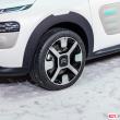 image Citroen-Cactus-0479.jpg