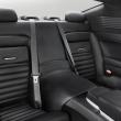 image Equus-Bass-770-11.jpg