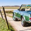 image Mercedes-280-SL-8867.jpg