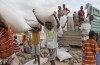 El Niño Ist die Betankung Eines der Gruseligsten Dürre In der Jüngeren Geschichte