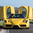 image Ferrari-Enzo-Villa-d-Este-018.jpg