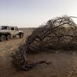 image Mercedes-G63-AMG-6x6-43.jpg
