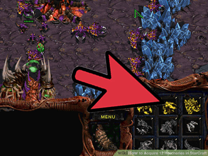 Image titled Acquire 12 Hatcheries in StarCraft Step 7