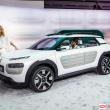 image Citroen-Cactus-0478.jpg