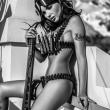 image Excalibur-Dream-Girls-014.jpg