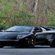 image Roy-Cats-Lamborghini-Collection-005.jpg