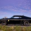 image Ford-Falcon-XB-Interceptor-07.jpg