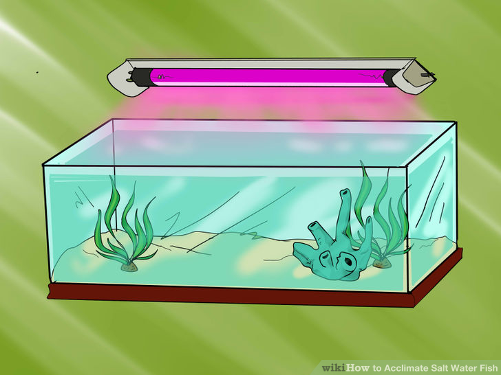 Image titled Acclimate Salt Water Fish Step 6