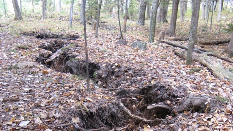 We Finally Know What Caused This Mysterious Crack in a Michigan Forest
