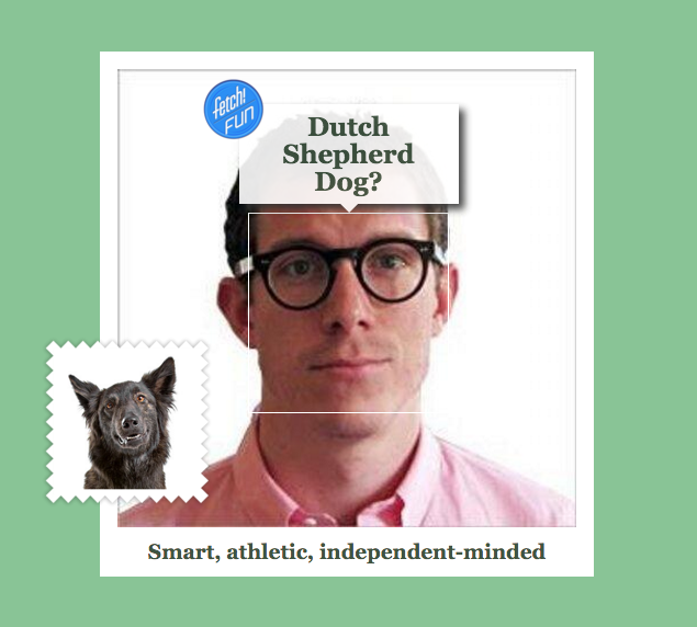 Microsoft's New What-Dog-Is-Your-Face Tool Is Good, Dumb Fun