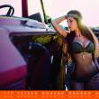 image Hot-Schrott-kalender-2014-01.jpg