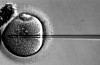 Britiske Forskere Få Godkjenning til å Genetisk Modifisere Menneskelig Embryo