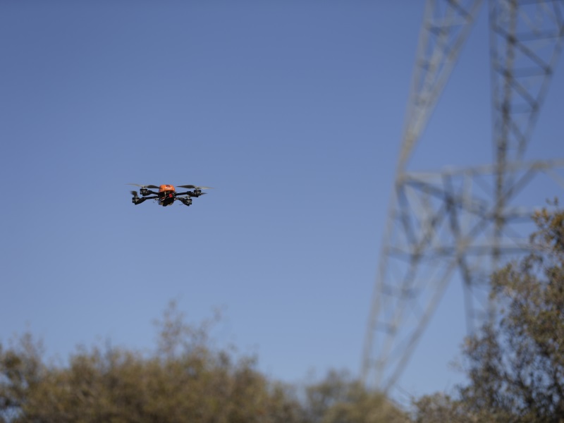 Drone Monitoring of India's Tiger Reserves Awaiting Final Approval: NTCA
