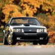 image Ford-Mustang-historie-08.jpg