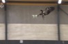 To combat illegal drones can attract the eagles