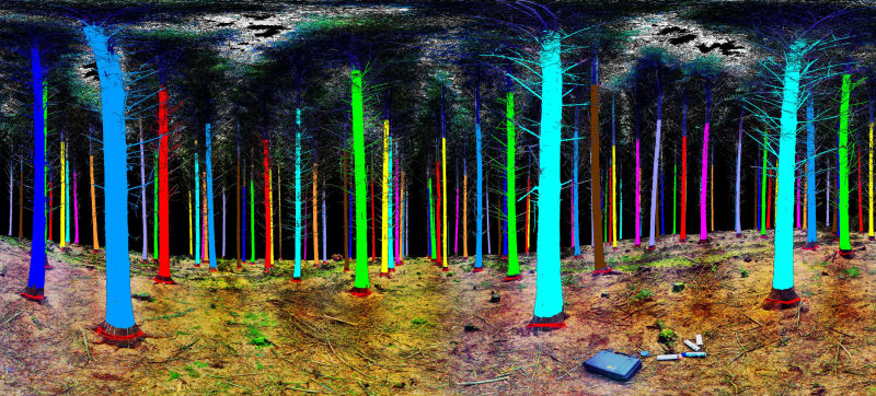 This Is What You See When You Scan a Forest With Lasers