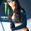 image motogp-babes-girls-2014-008.jpg