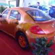 image vidoev-beetle-kloon-007.jpg