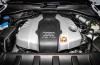 Cheese cat is 4 weeks under the hood Audi Q7