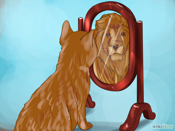Image titled Avoid Being Manipulated by People Step 8