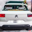 image Citroen-Cactus-0494.jpg