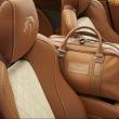 image Aston-DB9-Q-paard-007.jpg