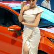 image KL-Motor-Show-2013-19.jpg