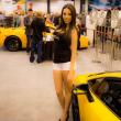image EVS-Babes-Houston-40.jpg