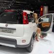 image fiat-panda-4x4-0124.jpg