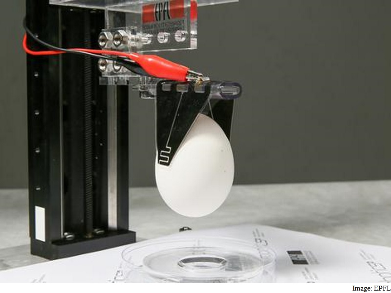 Robotic Fingers to Soon Pick Up Fragile Objects With a Gentle Touch: Study