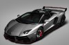 Breeds Lamborghini a Veneno Roadster?