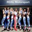 image Paul-Ricard-WTCC-10.jpg
