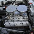 image BMW-507-010.jpg