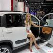 image fiat-panda-4x4-0126.jpg