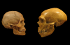 Having Neanderthal DNA Linked to Depression and Nicotine Addiction