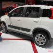 image fiat-panda-4x4-0120.jpg