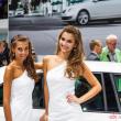 image Skoda-babes-0068.jpg
