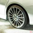 image Carlsson-CLA-CCA-22-9882.jpg