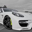 image caractere-exclusive-2014-porsche-panamera-10.jpg
