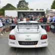 image Bentley-Continental-GT3-Goodwood-live-08.jpg
