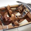image Aston-DB9-Q-paard-010.jpg