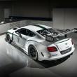 image Bentley-Continental-GT3-Goodwood-10.jpg
