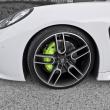 image caractere-exclusive-2014-porsche-panamera-18.jpg