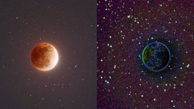 This UCLA Algorithm Sees Things Your Eyes Never Could