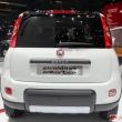 image fiat-panda-4x4-0125.jpg